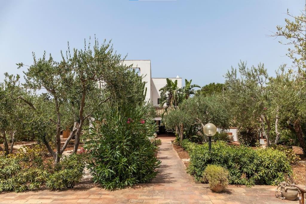 Cala Bianca Villa Castellammare del Golfo Dış mekan fotoğraf